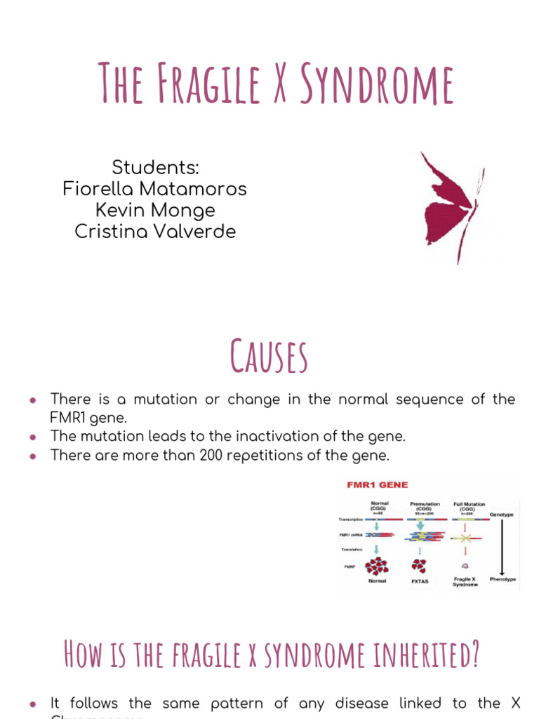 The Fragile X Syndrome | PDF | Clinical Medicine | Diseases And Disorders