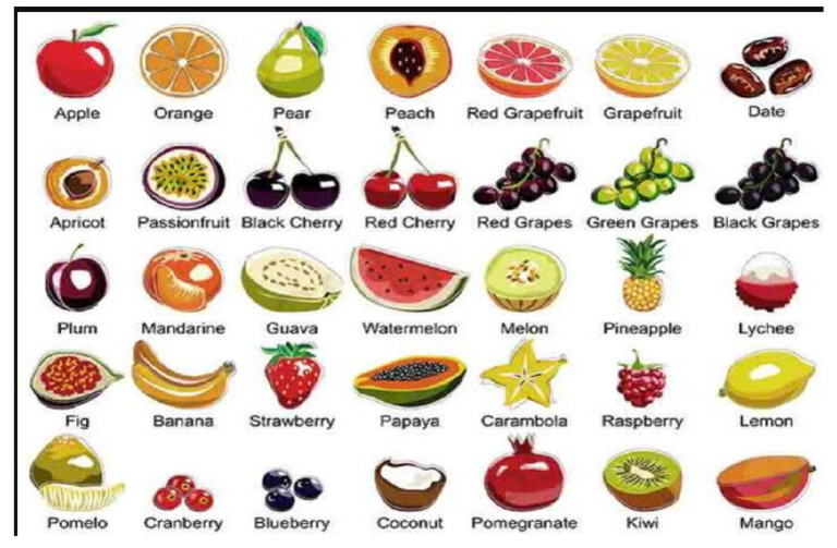 Fruits | PDF
