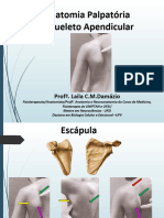 Minicurso de Anatomia Palpatoria - Esqueleto Apendicular