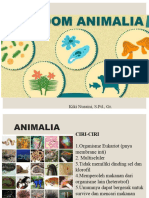 ANIMALIA