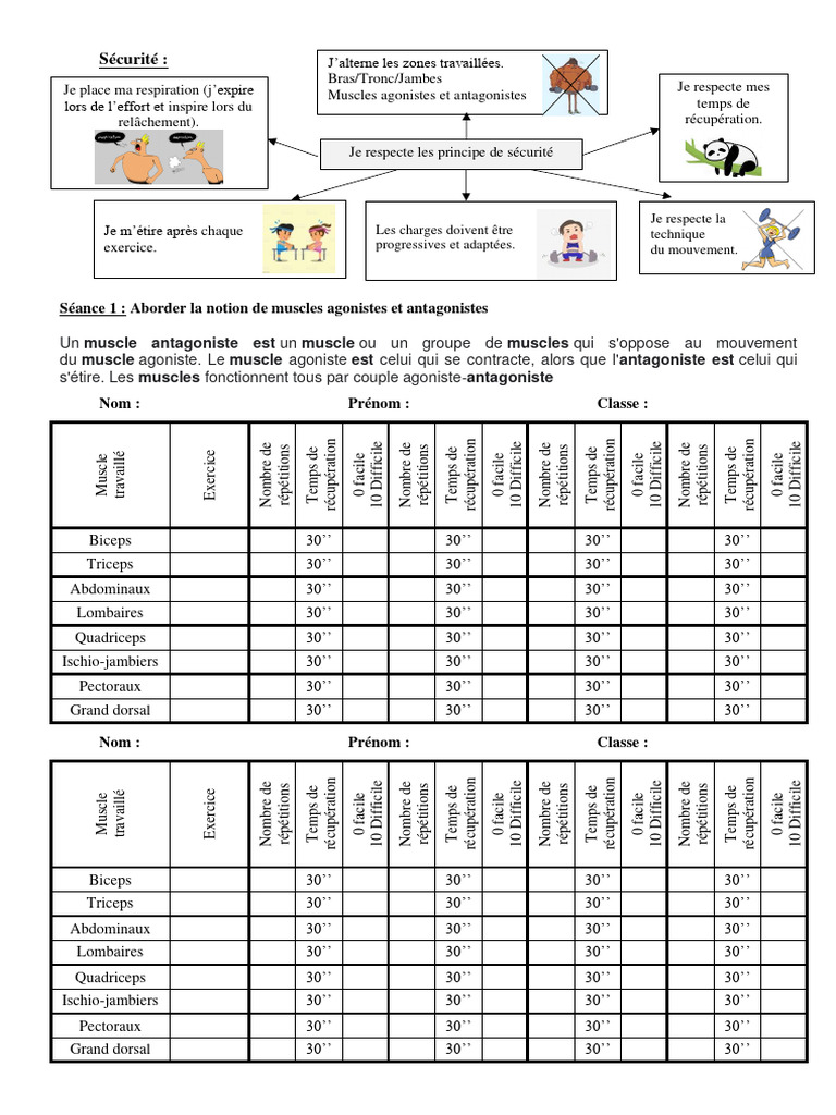 Muscles Agonistes et Antagonistes en Musculation PDF Appareil — free download