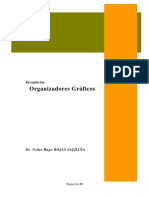 Organizadores Gráficos-Visuales15