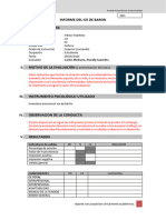 11.2 Informe Ice de Baron