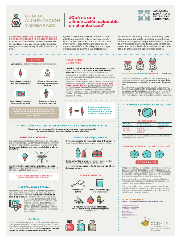 Aend Saludable | PDF | El embarazo | Alimentos