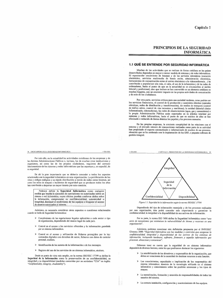 Capitulo 1 | PDF
