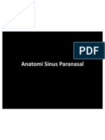 NEW Anatomi Sinus Paranasal