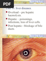 Download Hepatic by api-26938624 SN7345957 doc pdf