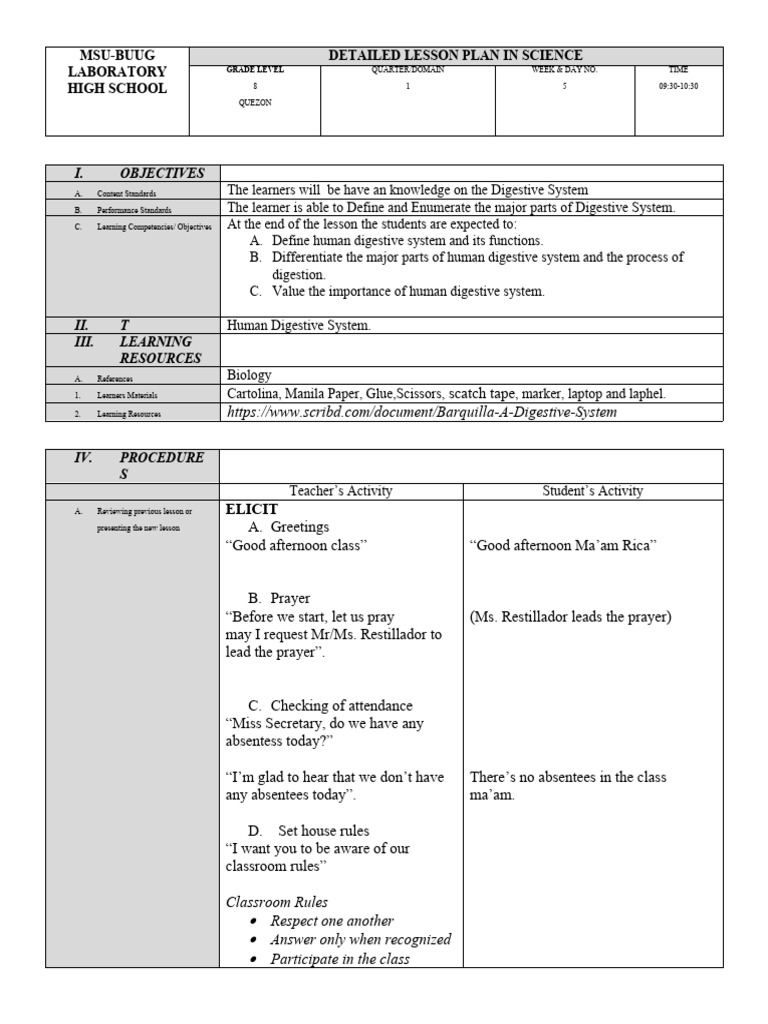 Grade 8 Lesson Plan: Digestive System | PDF | Muscle | Human Digestive ...