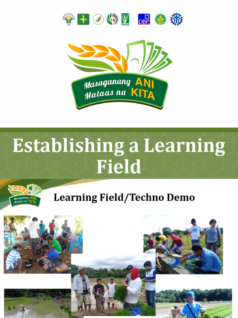 Establishing A Learning Field | PDF | Agriculture | Rice