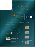 6.1. Molekularis Genetika