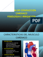 Anatomía y Fisiología Del Sistema de Conducción