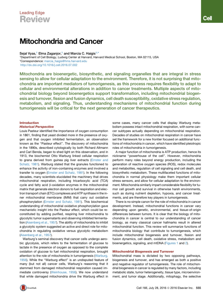 Mitochondrial Roles in Cancer Biology | PDF | Mitochondrion | Apoptosis
