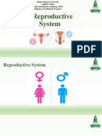 Reproductive 2