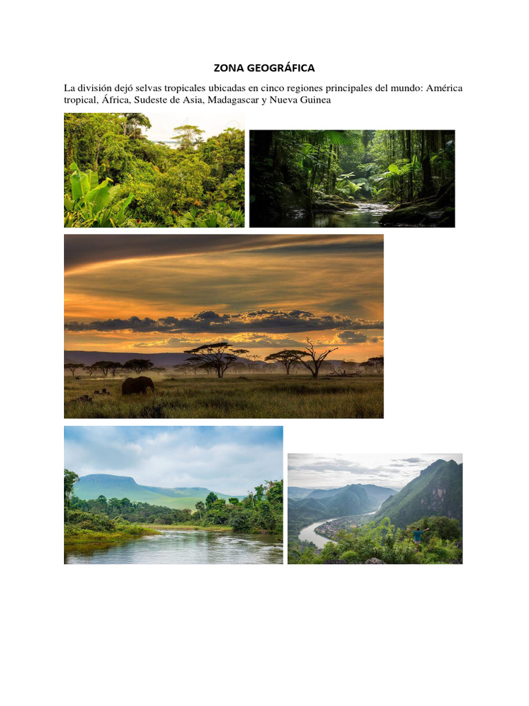 Regiones de Selvas Tropicales del Mundo | PDF