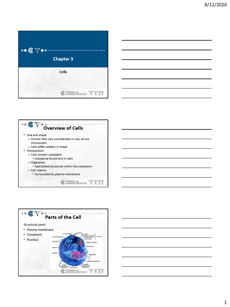 Chapter 3 | PDF | Cell Nucleus | Cell (Biology)