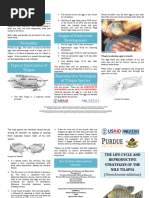 Nile Tilapia Life Cycle & Reproduction | PDF | Egg | Spawn (Biology)