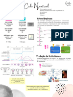 Ciclo Menstrual 2