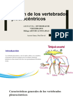 Origen de Los Vertebrados Pleurocentricos