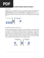 Proxy and Reverse Proxy Servers