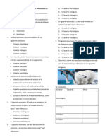 Evaluación sexto caracteres taxonomicos