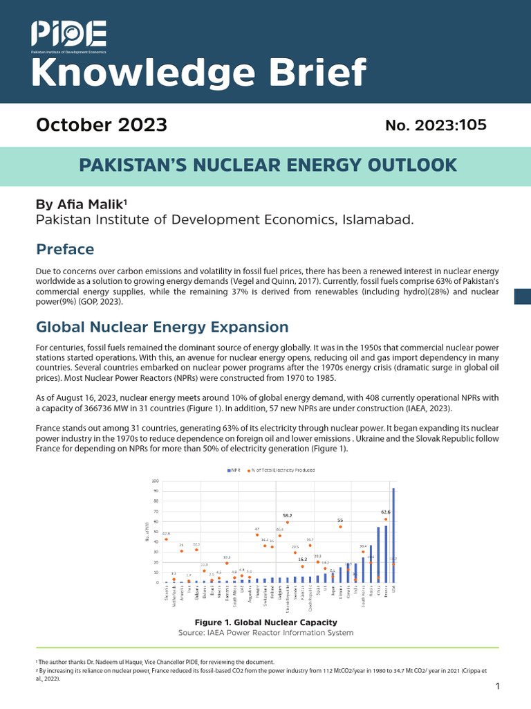 Pakistan's Nuclear Energy Future | PDF | Nuclear Power | Electricity ...