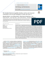 1 - Pedrinho, Alexandre Mendes, Lucas William Do Rêgo Barros, Felipe Martins Bossolani, João William Kühn, Tayná Negri