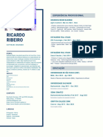 Ricardo Ribeiro CV