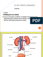 1_anatomia e Fisiologia Renal_facu