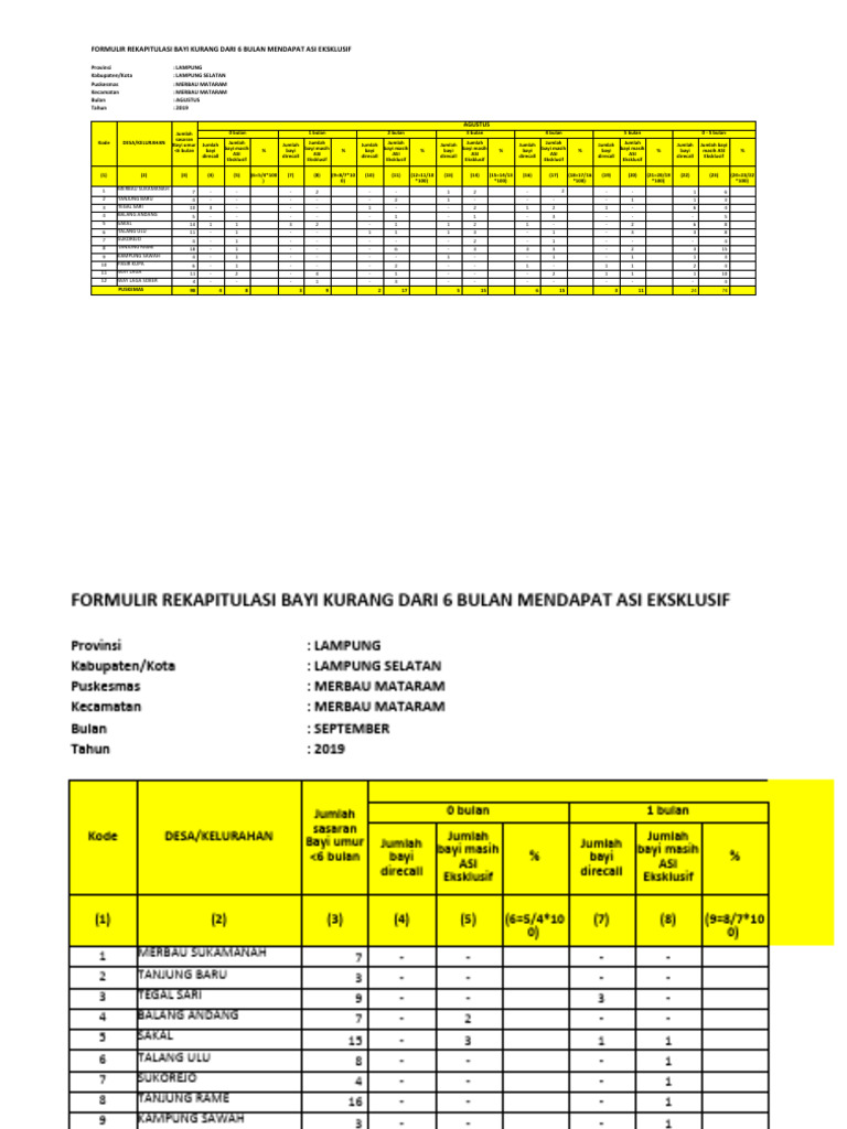 Format Laporan Asi Eksklusif 2019 Pdf