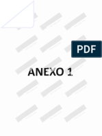 2.1 Anexos Del Informe