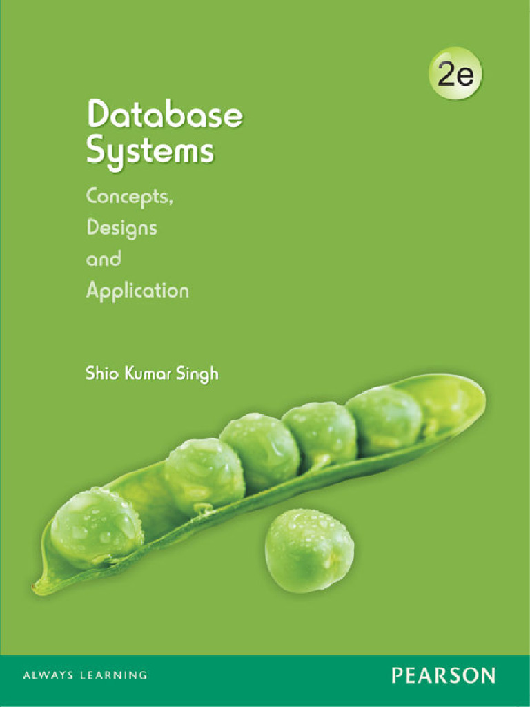 Database Systems Concepts Design and Applications 2nd