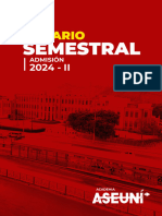 TEMARIO SEMESTRAL 2024 - II