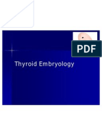 Thyroid Embryology