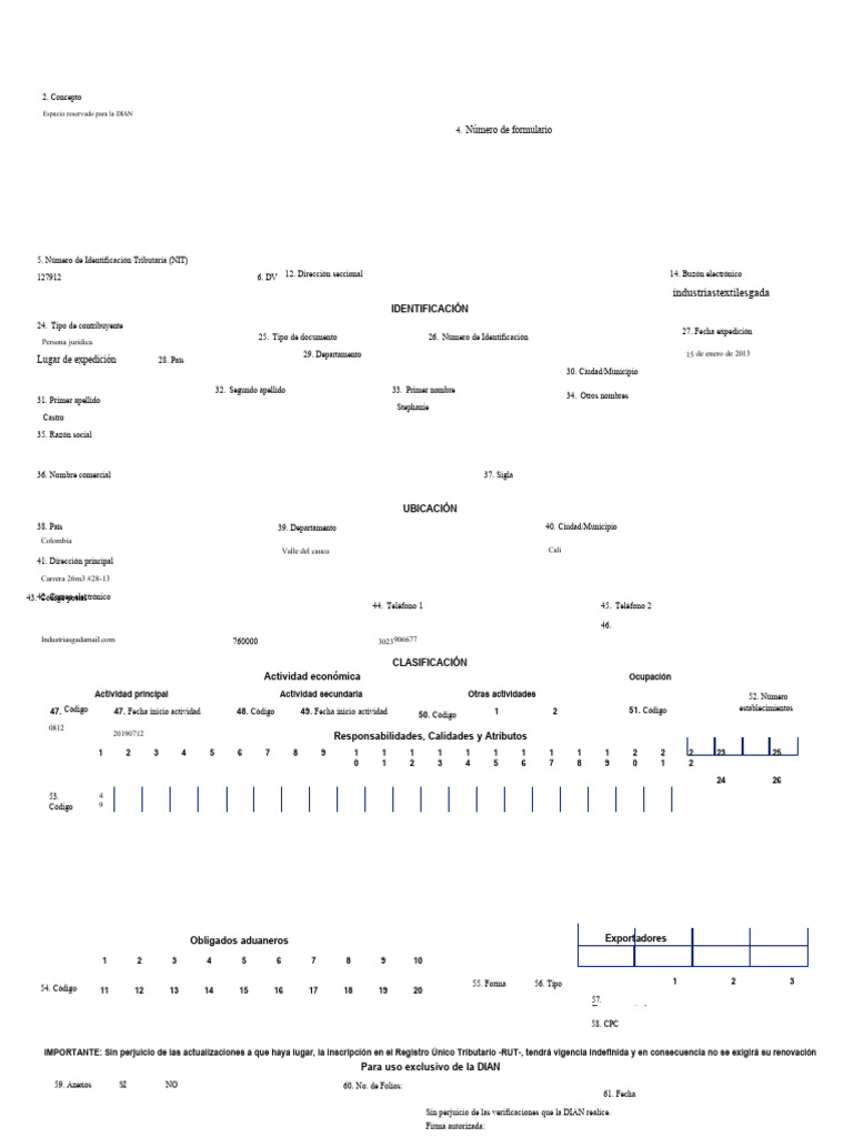 Formato 001 Rut Editable - Compress | PDF