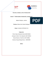 Informe Patologia Practica S7