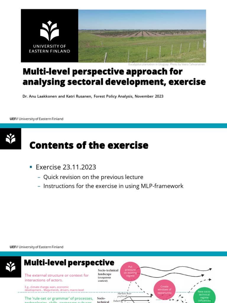 MLP Framework for Forest Sector Change | PDF | Innovation | Sustainability