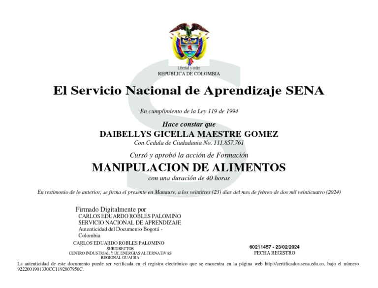 Descargar Archivo De Actualizacion Ps4 11.02