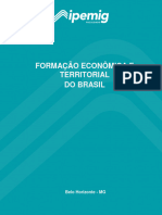 FORMAÇÃO ECONÔMICA E TERRITORIAL DO BRASIL IPEMIG
