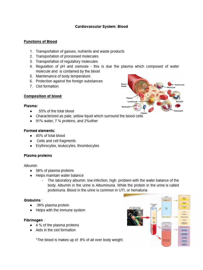 Cardiovascular System Pdf Heart Valve Heart