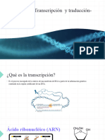 UNIDAD 3 - Transcripción de ADN