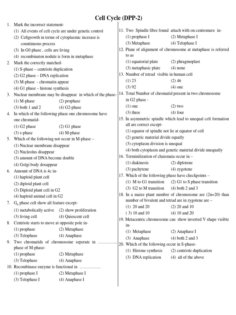 Cell Cycle Quiz: Key Concepts and Phases | PDF | Meiosis | Mitosis