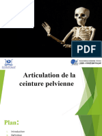 Anatomie Presentation1