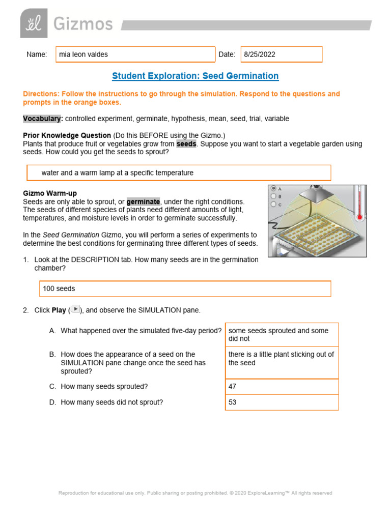 SeedGerminationSE | PDF | Seed | Germination