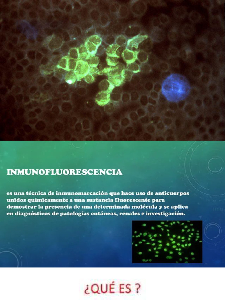 Tipos y Aplicaciones de Inmunofluorescencia | PDF | Inmunofluorescencia ...
