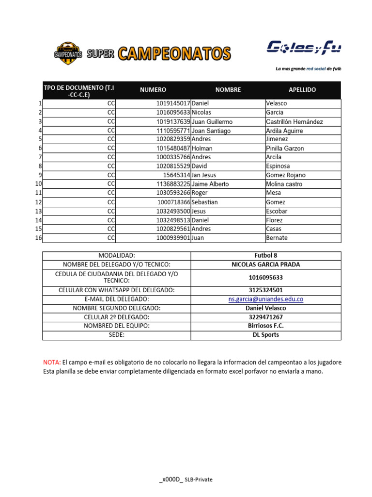 Registro de Jugadores Futbol 8 | PDF