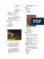 Test Sorulari PDF