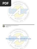 Download Curs 11 by Prunar Florin SN73482569 doc pdf