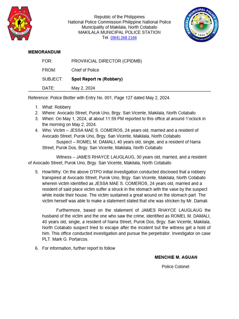 Spot Progress Final Report | PDF | Crime & Violence | Justice