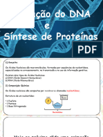 Citologia Acidos Nucleicos e Sintese de Proteinas