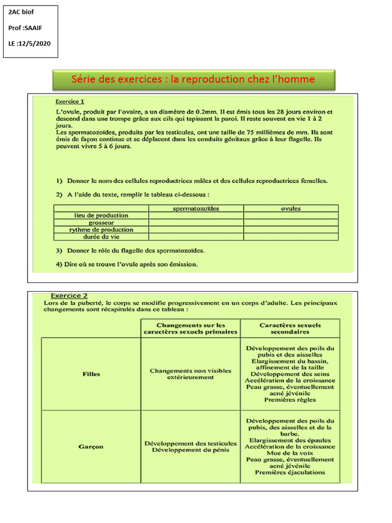 Exercices sur la reproduction humaine 2AC | PDF | Bien-être